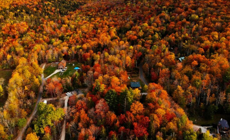 $229 Million Vermont BEAD Program Advances as Nine ISPs Compete for Funding