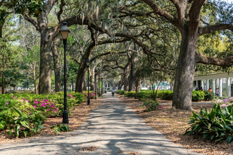 South Carolina Nears Full Broadband Access