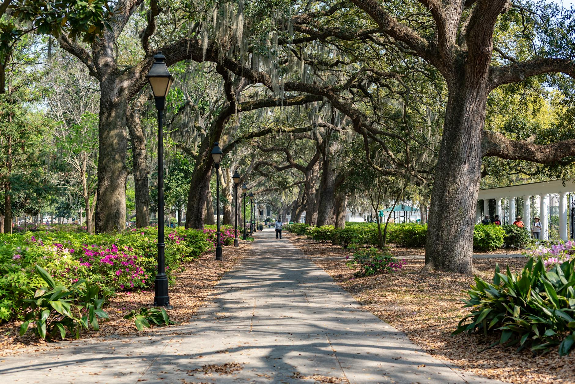 South Carolina Nears Full Broadband Access